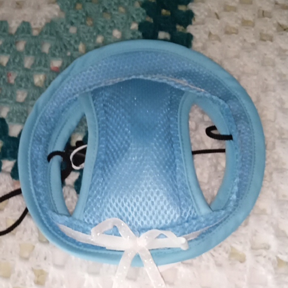 Blue Mesh Pet Hat